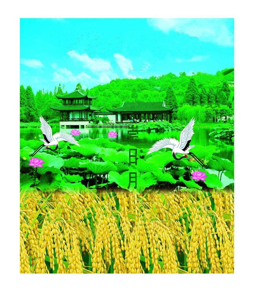 崇日月