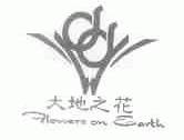 大地之花;FLOWER ON EARTH