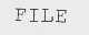 FILE
