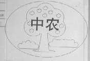 中农