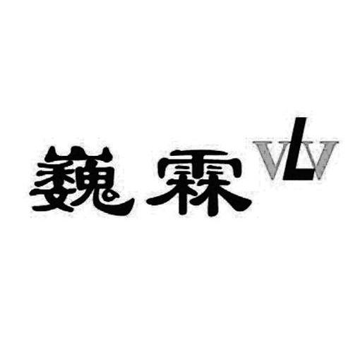 巍霖 VLV