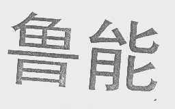 鲁能