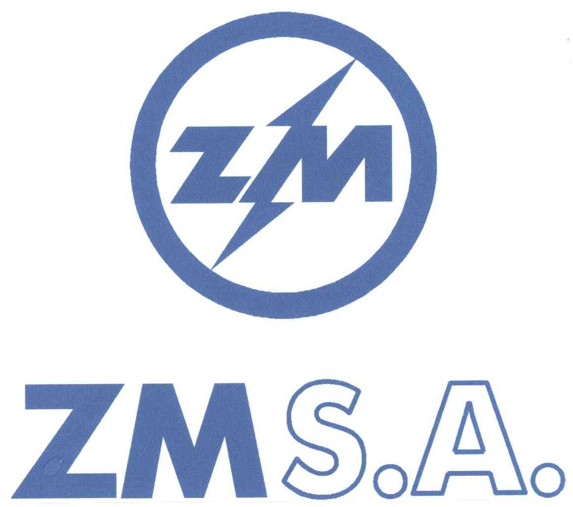 ZMSA