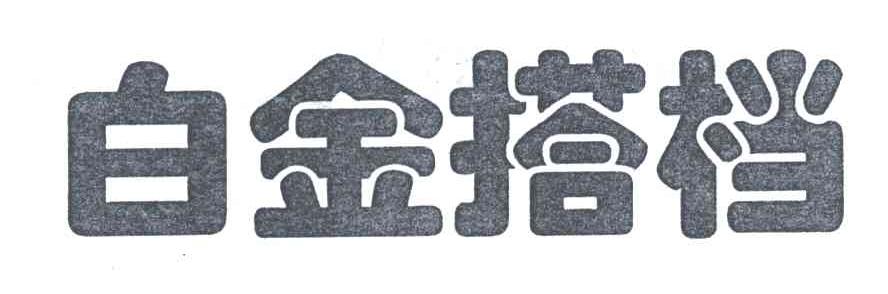 白金搭档
