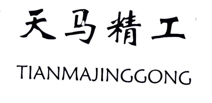 天马精工;TIAN MA JING GONG