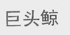 巨头鲸