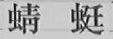 蜻蜓