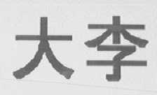 大李