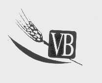 VB