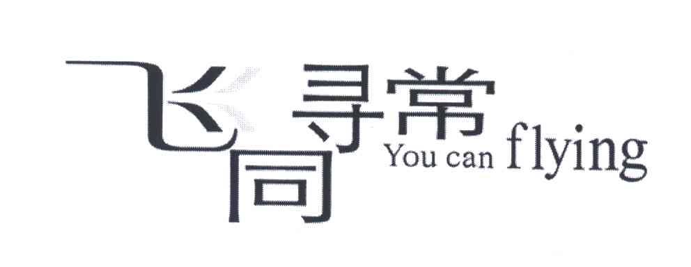 飞同寻常;YOU CAN FLYING