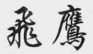 飞鹰