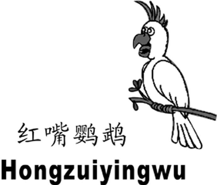 红嘴鹦鹉