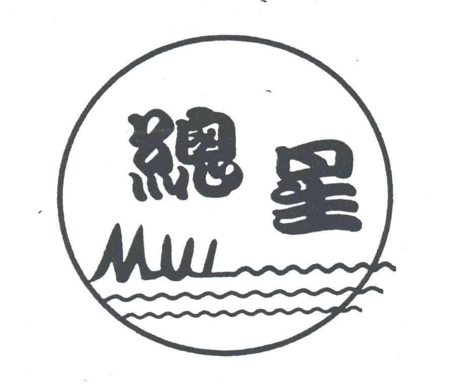 总星