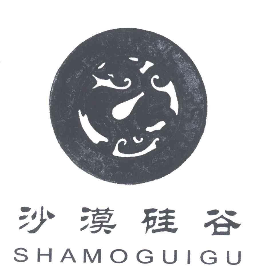 沙漠硅谷
