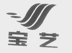 宝艺