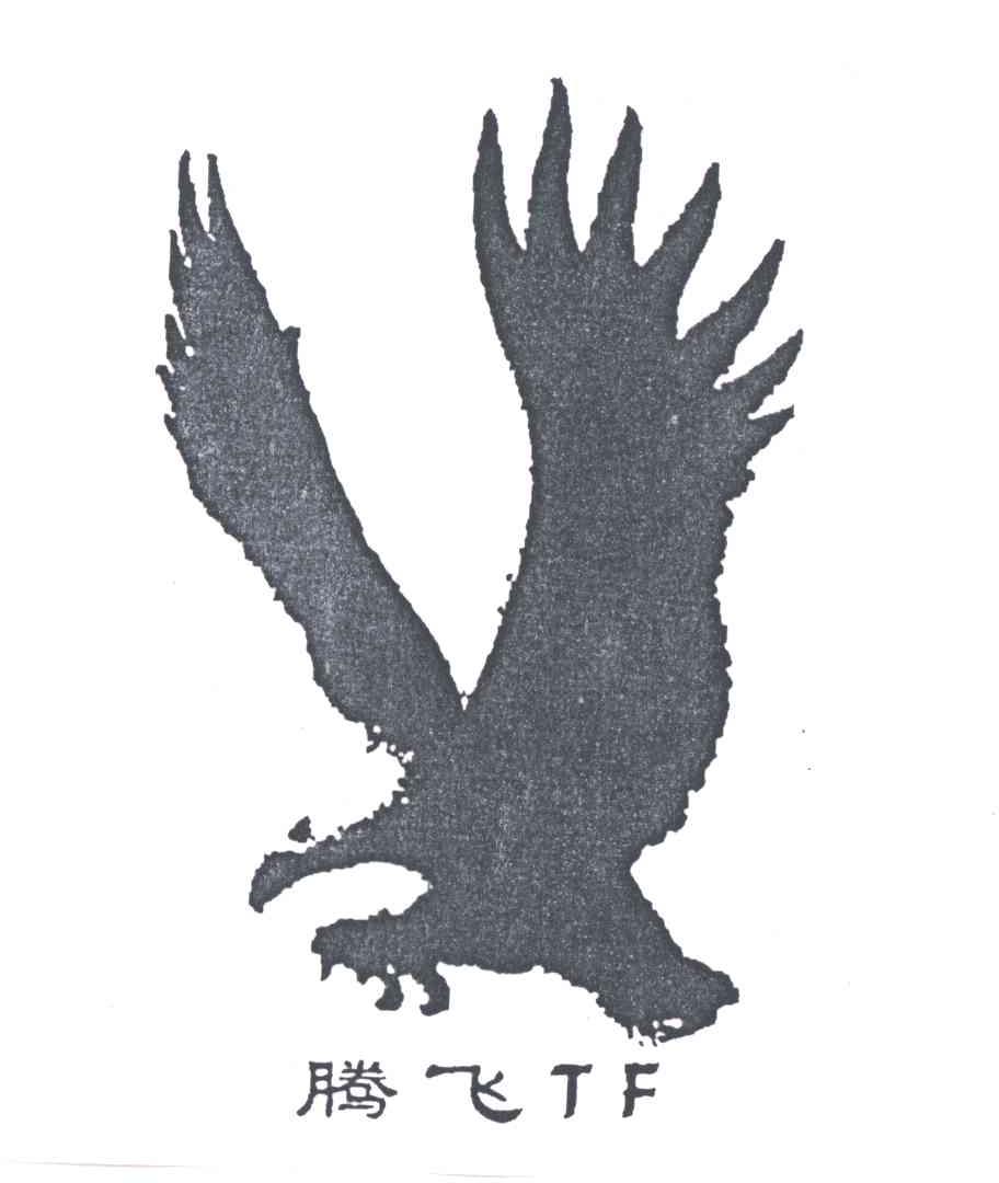 腾飞