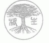 根生