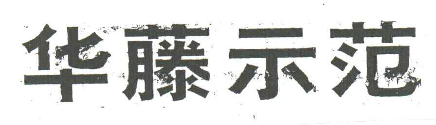 华藤示范