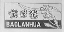 宝兰花
