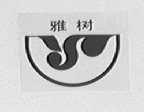 雅树