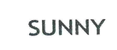 SUNNY