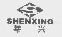 莘兴