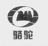 骆驼