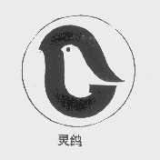 灵鸽
