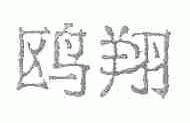 鸥翔