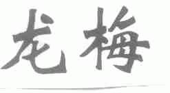 龙梅