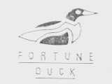 FORTUNE DUCK