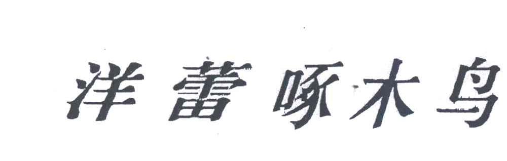 洋蕾啄木鸟