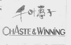 千叶惠子 CHASTE & WINNING