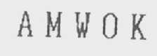 AMWOK