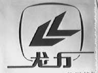 龙力