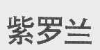 紫罗兰