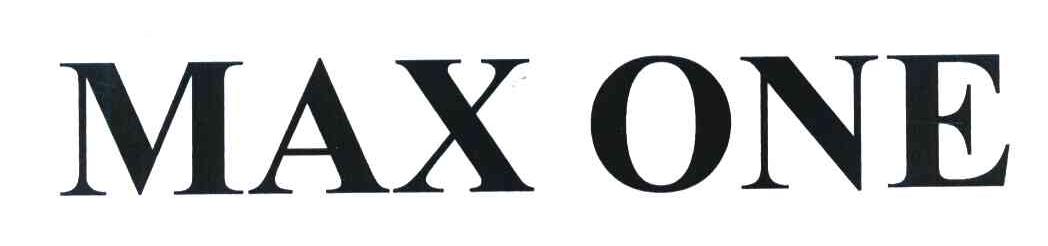MAX ONE