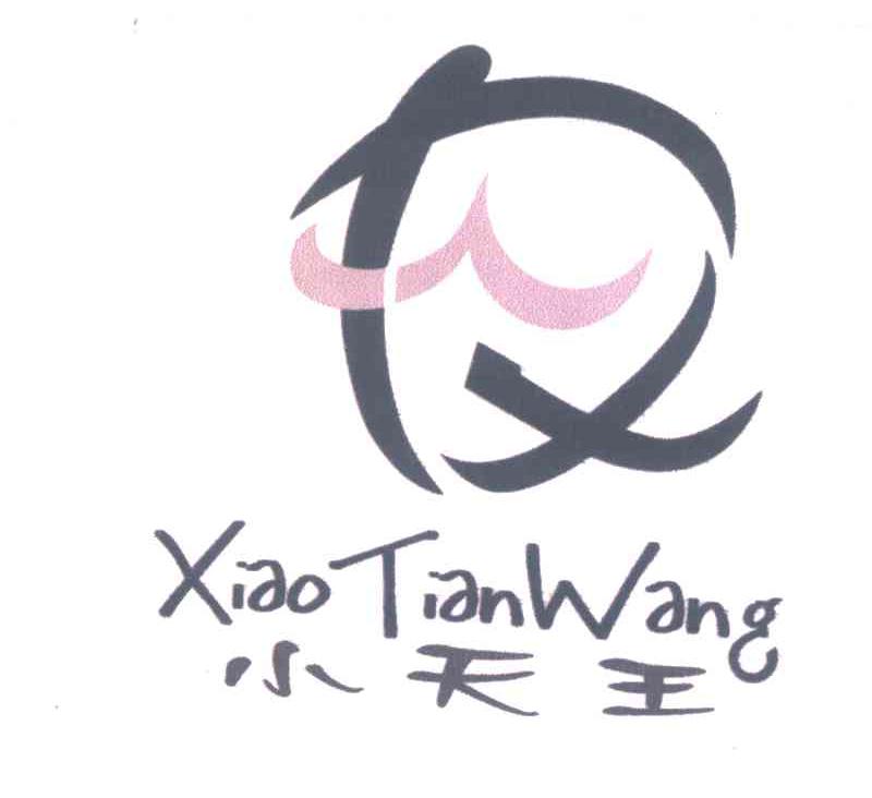 小天王;XTW