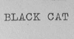BLACK CAT