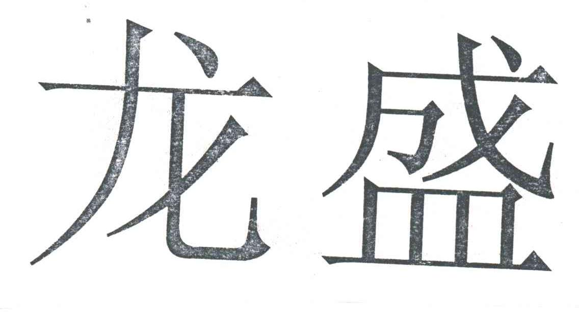 龙盛