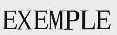EXEMPLE