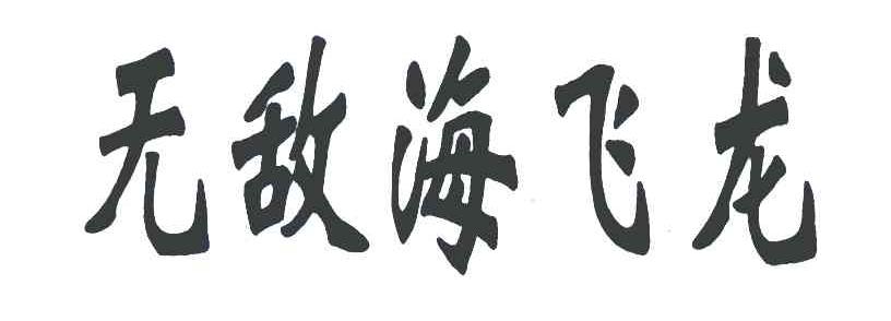无敌海飞龙