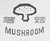 蘑菇  MUSHROOM