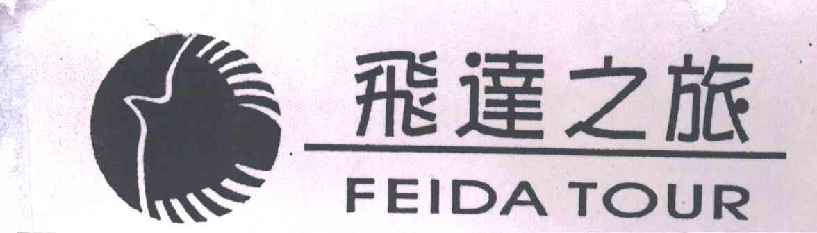 飞达之旅