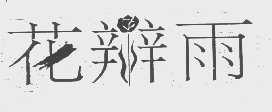 花辫雨