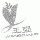 王强