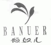 般奴儿;BANUER