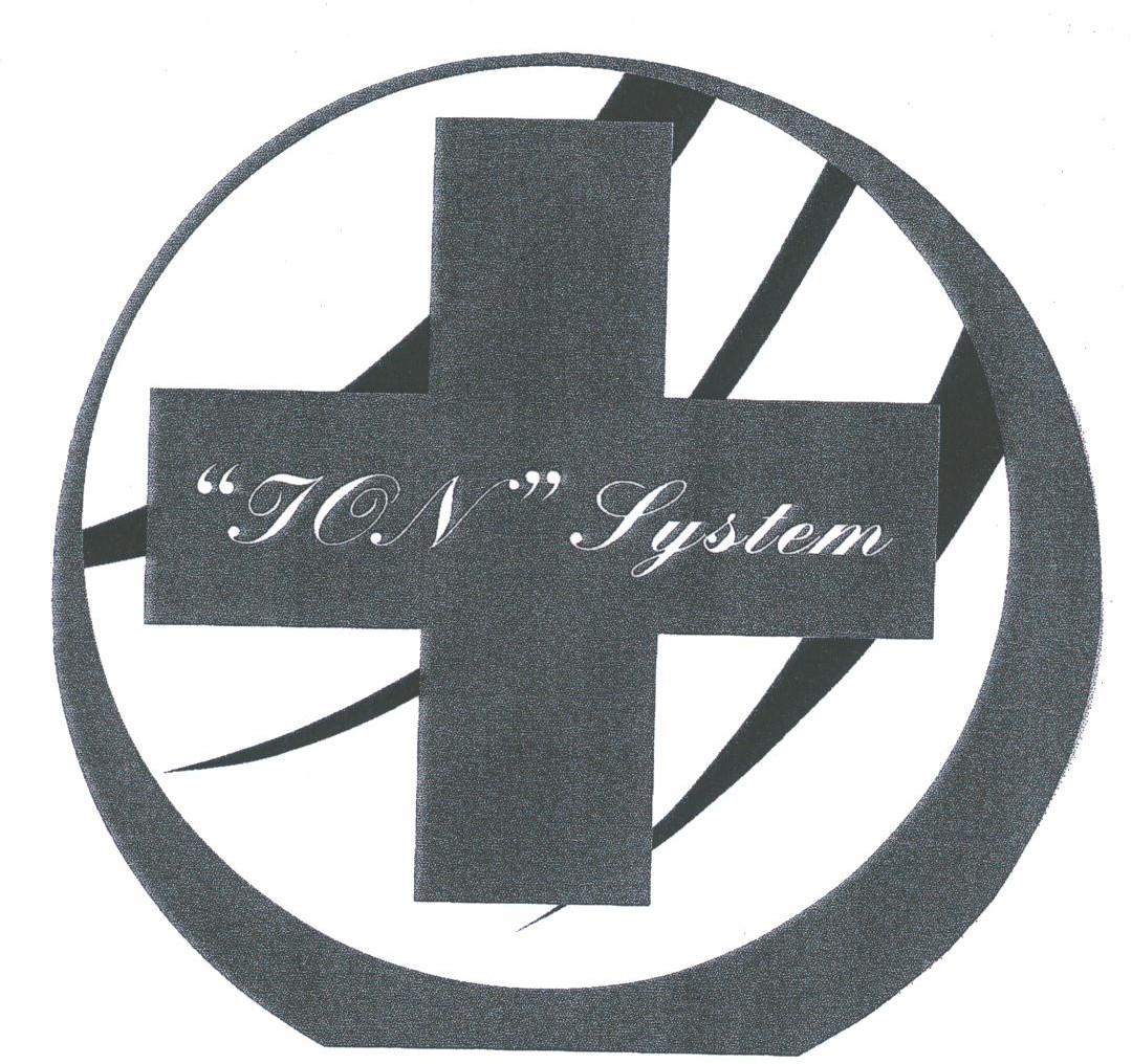ION SYSTEM