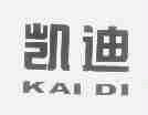 凯迪