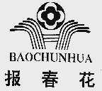 报春花